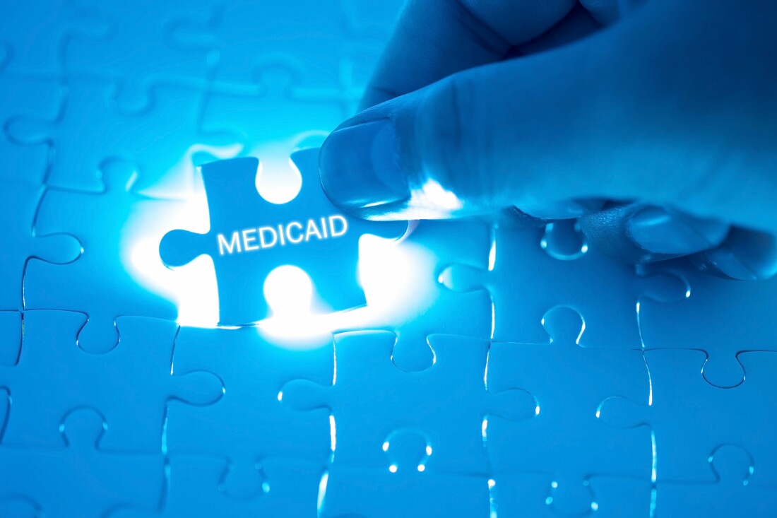 Medicaid Puzzle Piece