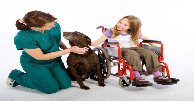 Girl in Wheelchair