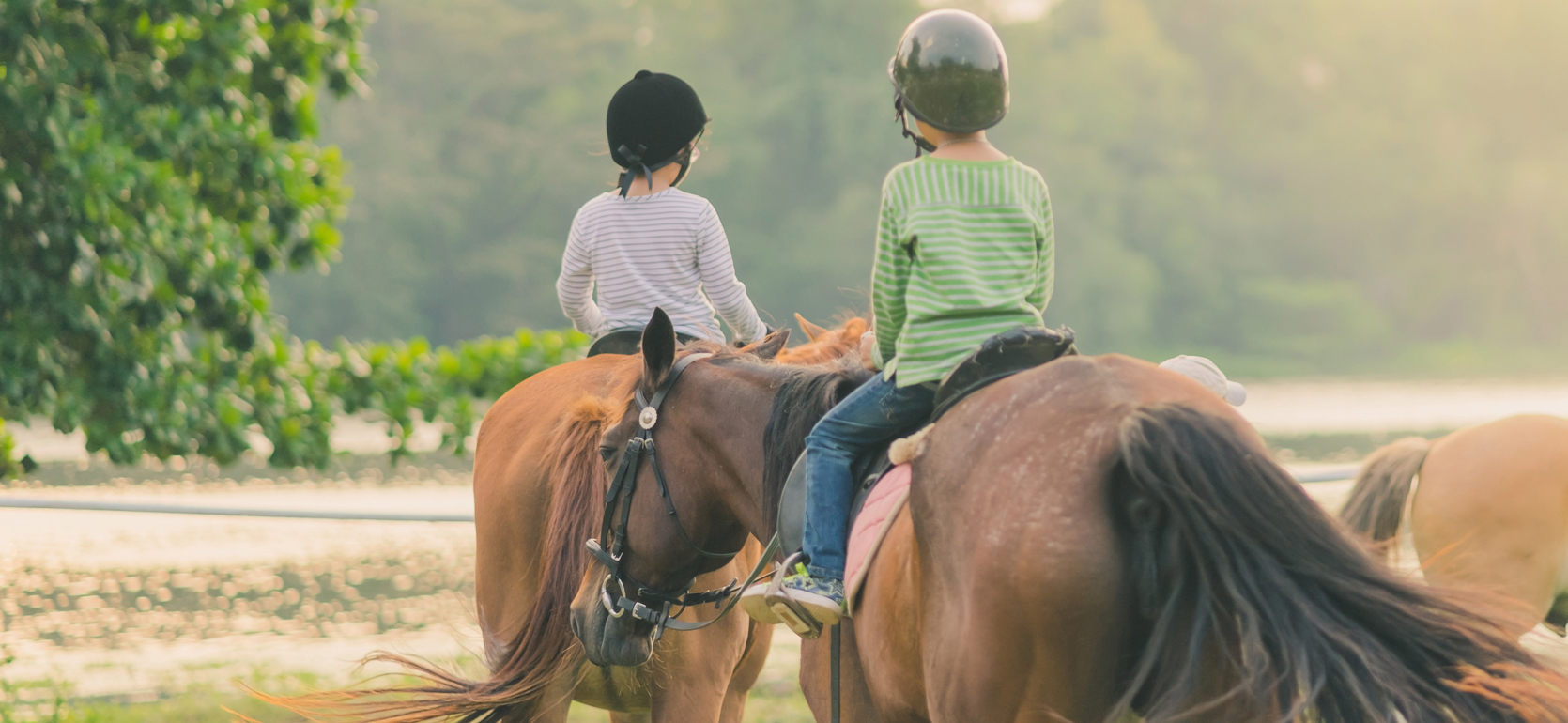 Children with riding helmets riding on horses