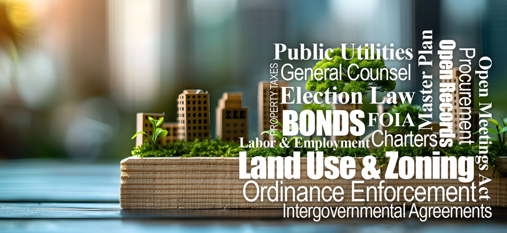 A small wooden platform supports miniature buildings, green moss, and small plants, symbolizing urban development and sustainability. Floating over the model are legal and municipal terms such as “Land Use & Zoning,” “Ordinance Enforcement,” “General Coun