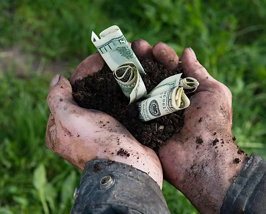 Hands holding a pile of dirt with US dollars sticking out.