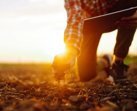 Person kneeling in a field at sunset, examining soil with one hand while holding a tablet in the other; wearing a plaid shirt and sneakers, symbolizing agricultural inspection or environmental research.