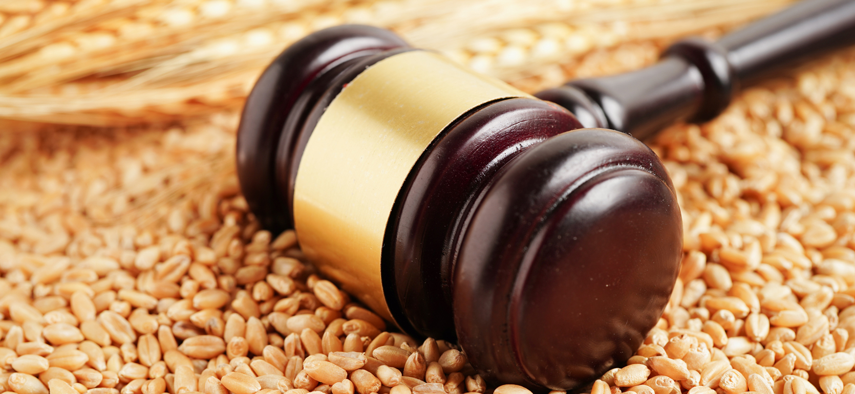Gavel laying on pile of grain