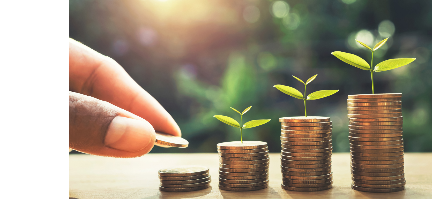 A hand places a coin next to stacks of coins arranged in ascending order, each topped with a small green plant. The scene symbolizes financial growth or investment, with sunlight and greenery in the blurred background.