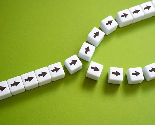 White titles with black arrows going in a straight line before splitting into two different paths.