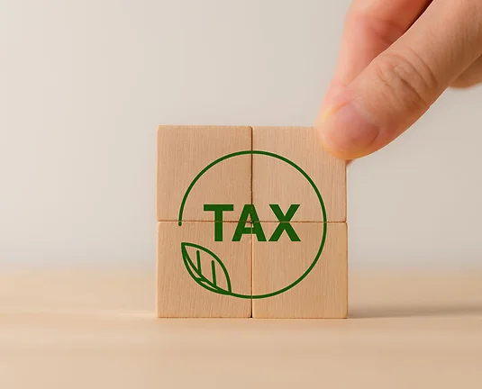 Environmental tax obligation, breaks concept. Wooden blocks with green taxes icons