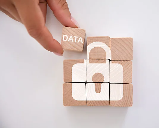 Person Holding Data Block