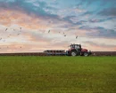 Red tractor plowing a field at sunset with birds flying overhead and a green foreground of crops.